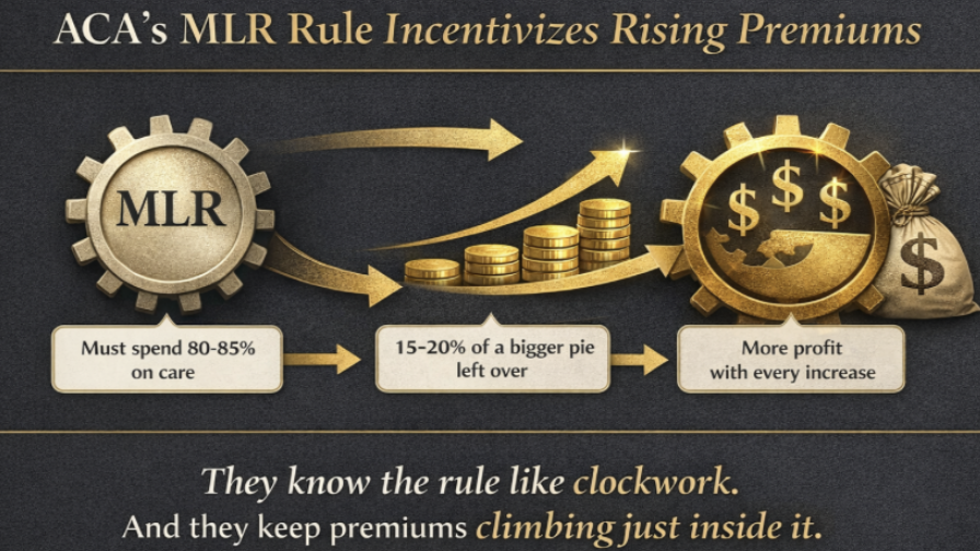 MLR